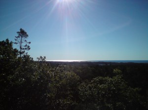 Havutsikt fra SkifjellFoto: Anita Breivold