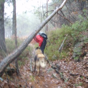 Løyperydding torsdag 8. mai kl.&nbsp;17.00