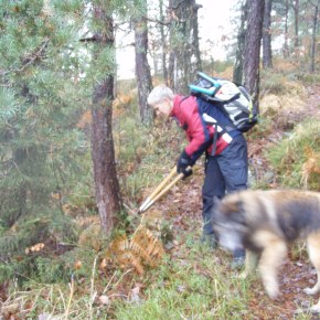 Bli med på&nbsp;løyperydding!
