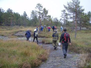 Fra Futevegen i Vegusdal. Foto: Anita Breivold