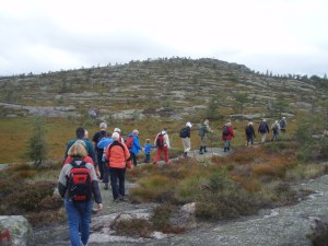Himmelsyna, bærer sitt navn med rette. Foto: Anita