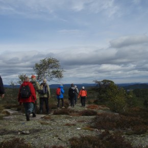 Digelva, rundtur i&nbsp;Birkenes