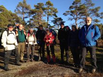 Trottodugnad nov 2013 Foto: Anne M Kleven