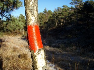 Godt merket og tilrettelagt for tur. Foto: Anita Breivold