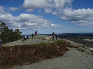 Herlig tur fra Beisland til Reddal. Foto: Anita