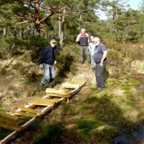 Løyperydding torsdag 11.&nbsp;mai