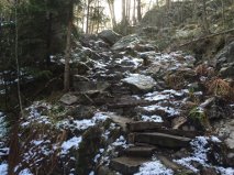Flott dugnad i Steinkleiva. Foto: Salve Linnebo og Helge Braadland