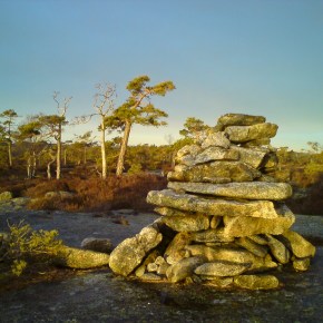 Lokale topper, søndag&nbsp;3.nov