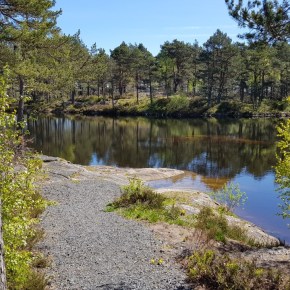 Ukens turforslag uke 20: Rundtur fra sentrum via Reveråsen, Seljelia og&nbsp;Holta