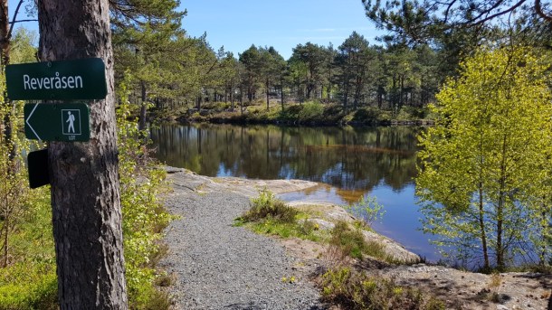 Bilde Reveråsen