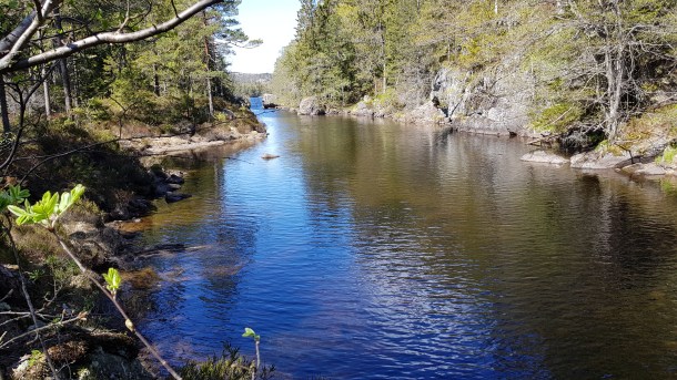 Kanalen ved Kaldvell