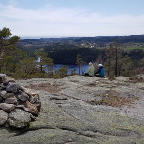 Ukens turforslag uke 24: Rundtur fra Bjørkestøl via Vardehei, Pumpestasjonen og&nbsp;Eftevannsåsen