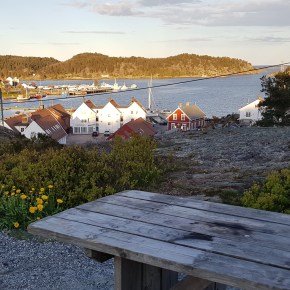 Ukens turforslag uke 32: Rundtur fra Sentrum via Springvannsheia, Reveråsen og&nbsp;Holta