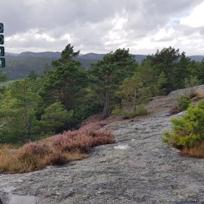 Ukens turforslag uke 37: Rundtur til Skifjell fra&nbsp;Hestheia