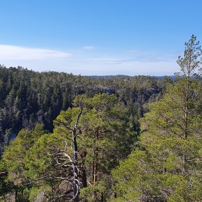Fellestur til Nordbø og&nbsp;Buene