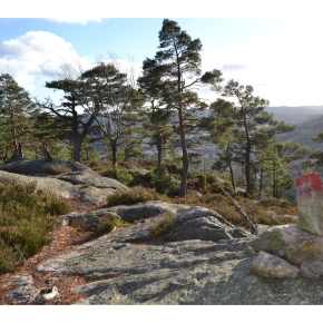 Fellestur til Berefjell i Iveland søndag 10.&nbsp;mai